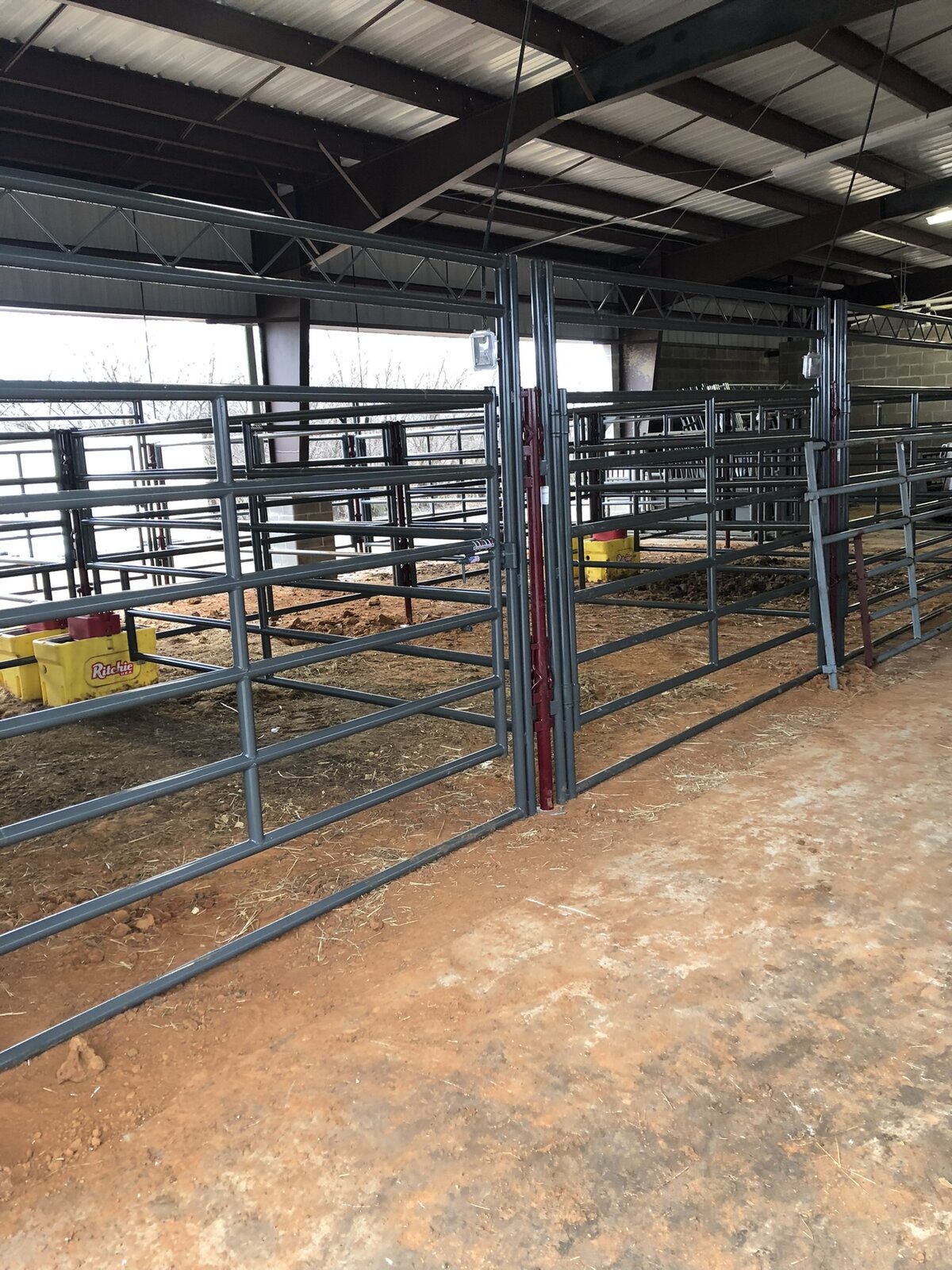 Rows of galvanized show pens inside the Justin ISD metal barn